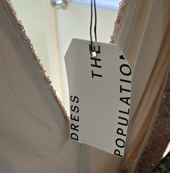 Dress the Population Pink Sleeveless Dress - Picture 6 of 8